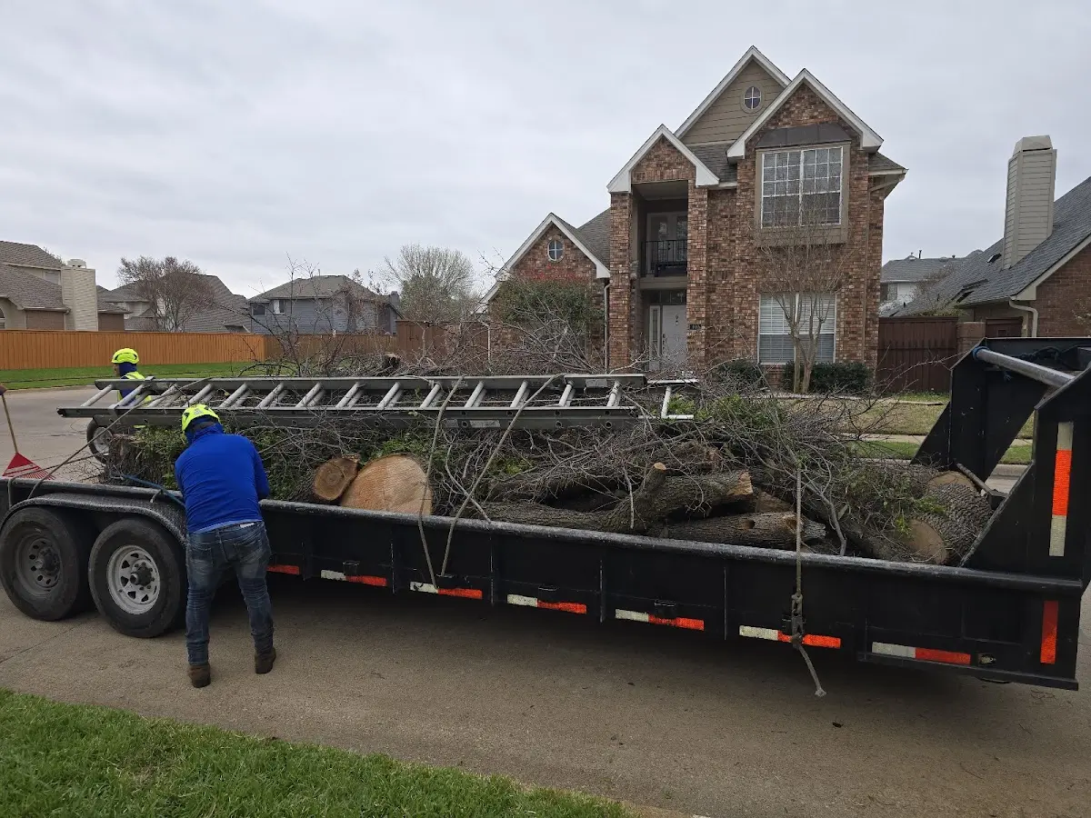 Expert Tree Fertilization with proper safety equipment in Bloomfield